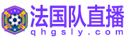 法国队直播